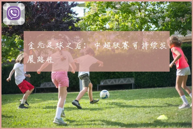 金元足球之后：中超联赛可持续发展路径
