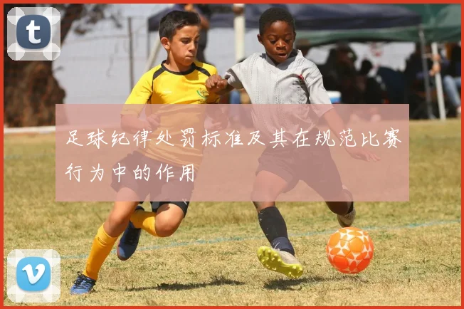 足球纪律处罚标准及其在规范比赛行为中的作用