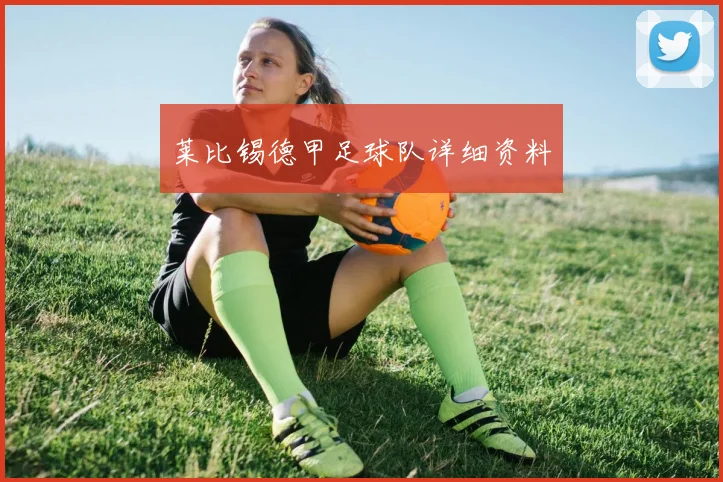 莱比锡德甲足球队详细资料