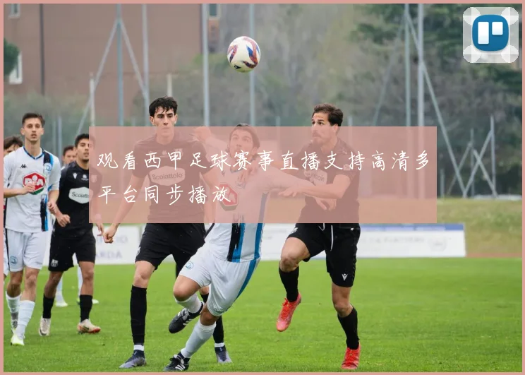 观看西甲足球赛事直播支持高清多平台同步播放